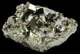 Gleaming Cubic Pyrite & Quartz Crystal Association - Peru #124441-1